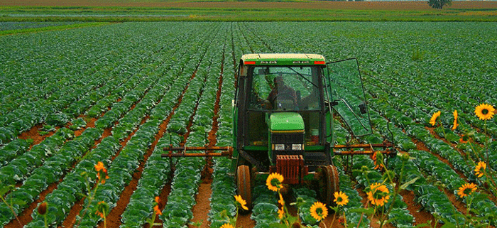 Photo of Земјоделците годинава имаат на располагање 60 милиони евра од ИПАРД-2
