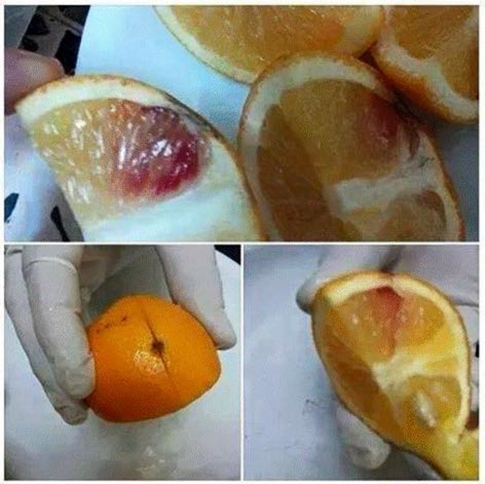 panika megju gragjanite vo prodazhba portokali zarazeni so hiv pozitivna krv