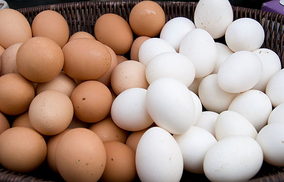 Photo of Се отворија границите за јајцата кои се произведуваат во домашните фарми