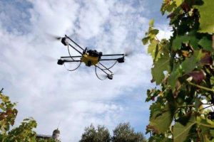 prskanje so dron za podobri prinosi vo zemjodelstvoto
