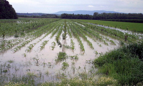 Photo of Закана од поплави во кочанскиот регион