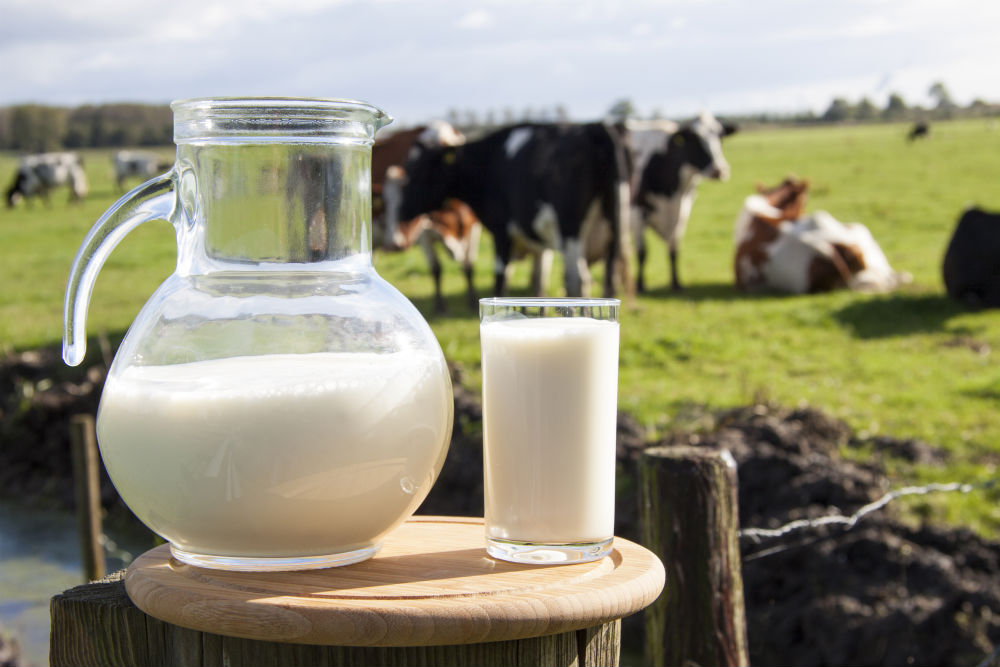 Photo of Ќе се намали производството на млеко во ЕУ