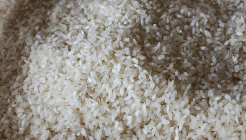 Photo of Турските сорти на ориз даваат поголем принос, но никој не ги откупува