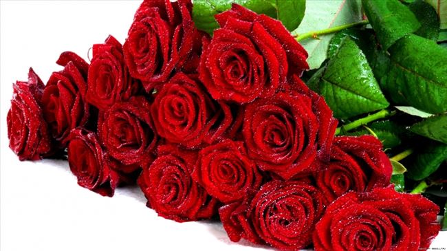 Photo of Македонците лани за рози потрошиле околу 500.000 евра