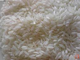 Photo of Сеидбата на оризот во кочанско реализирана над 80 проценти