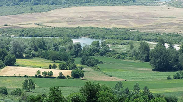 Photo of Во Дебарско за субвенции аплицирале над 500 земјоделци