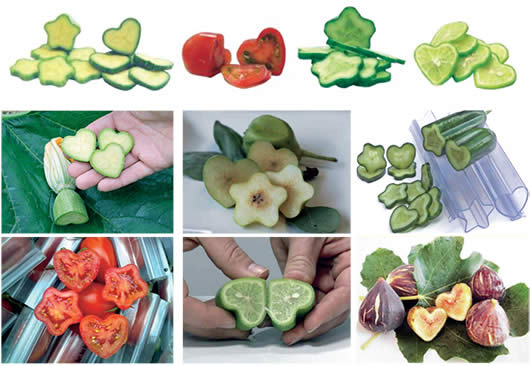 Photo of Модели за овошје и зеленчук