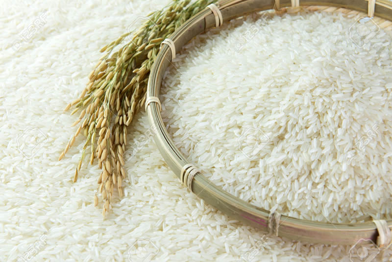 Photo of Почна жетвата на оризот во кочанско