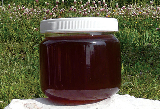 Photo of Медун или мед медликовец