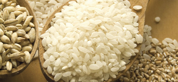 Photo of Можност за одгледување хибридни кинески сорти ориз во Кочани