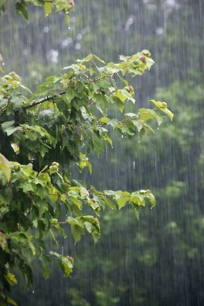 Photo of Врнежите се повеќе од добредојдени за земјоделството