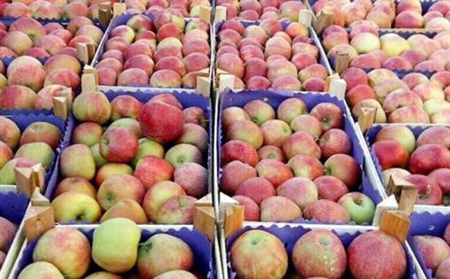 Photo of Русија го забрани увозот на јаболка од БиХ