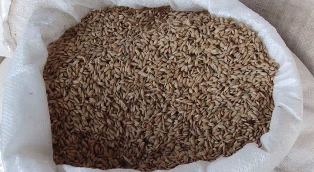 Photo of Оризопроизводителите се жалат на ниската цена за откуп