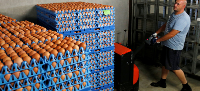 Photo of Засилени контроли на јајцата пред Велигден, нова регулатива од 2019-та