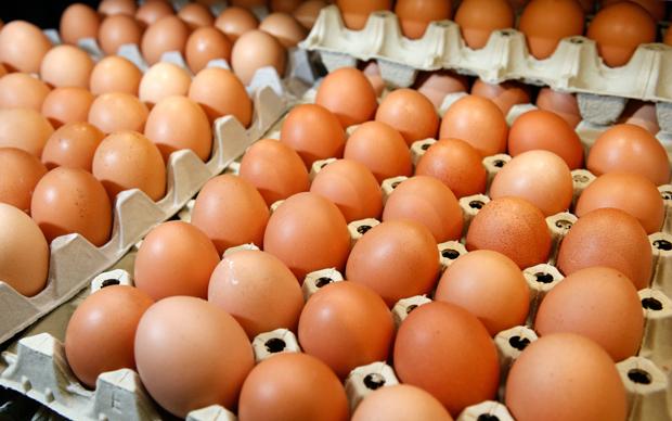 Photo of Пред велигденските празници поништени 31.000 небезбедни јајца