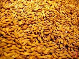 Photo of Земјоделците бараат 12 денари откупна цена за пченицата