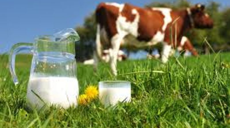 Photo of Инвестиции во модернизација на млекопроизводството во Пелагонија