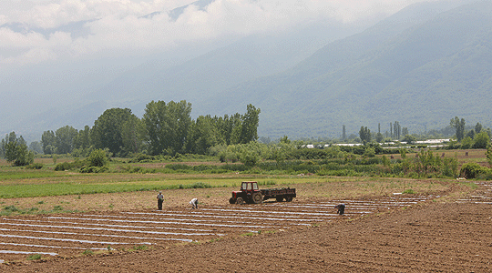 Photo of Повик за закуп на државно земјоделско земјиште во Кумановско