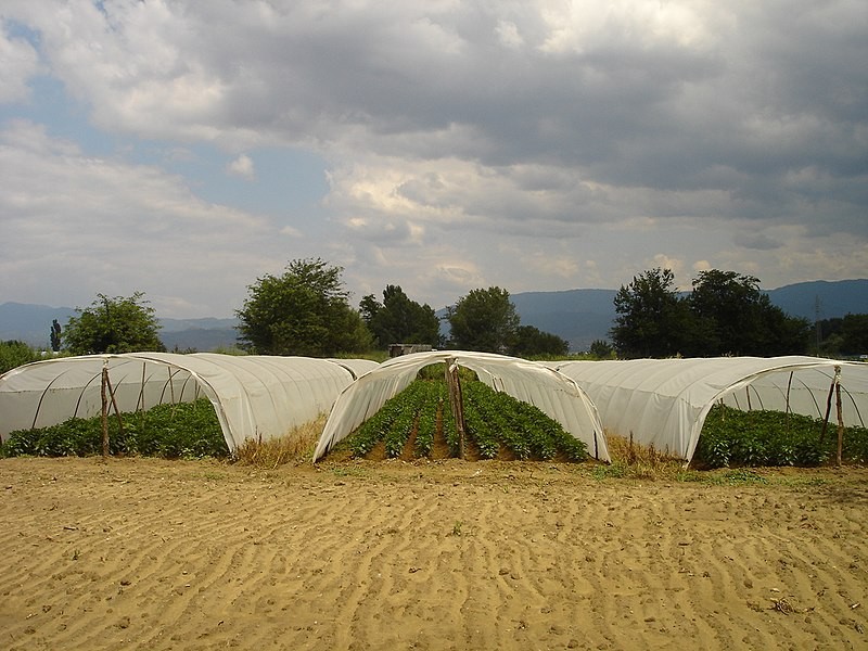 Photo of Регион „мотор“ на македонското земјоделство – може ли да ја нахрани државата?