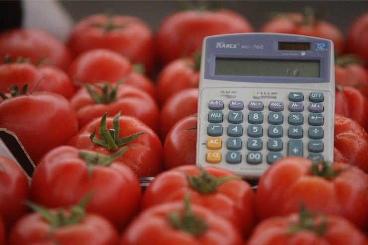 Photo of Двајца сомборци развиле бизнис со шери домати, еве што прават