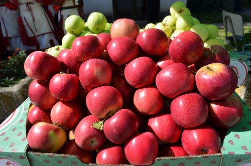 Photo of Ќе се берат јаболките и ќе се слуша „Црвена јабука“: Почнува манифестацијата во Ресен