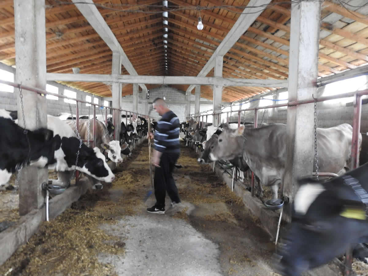 Photo of Македонските фармери не може да го развиваат својот бизнис без земјиште