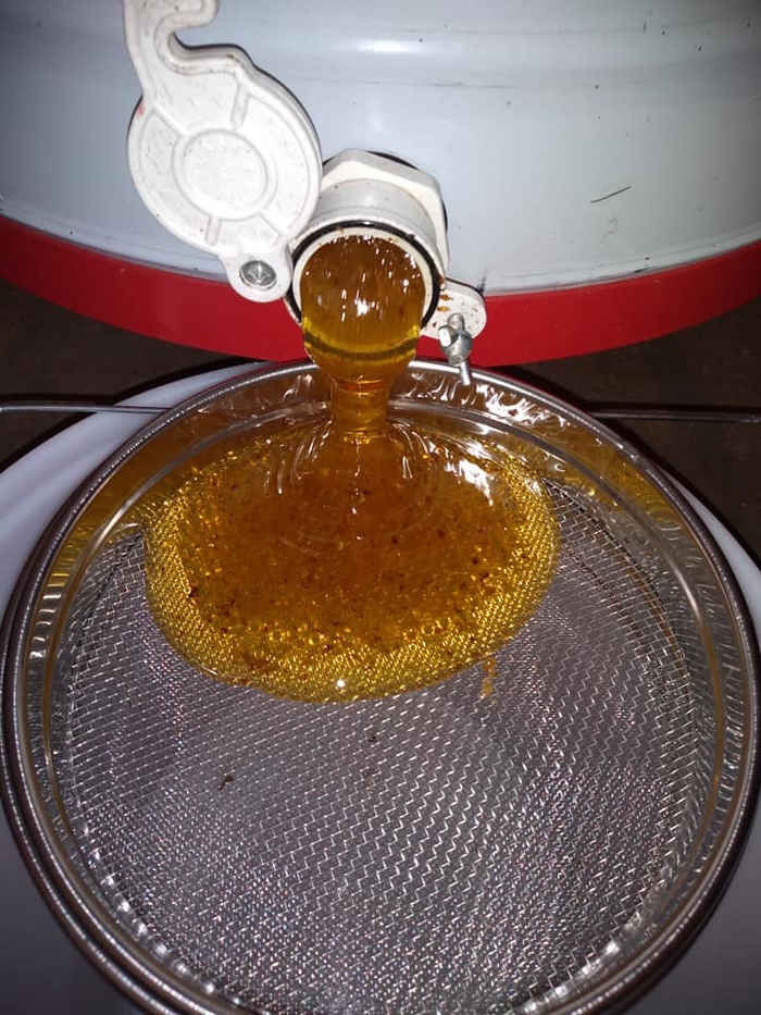 Photo of Пчеларењето не е само производство на мед