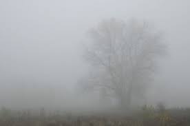 Photo of Времето денес: облачно со магла