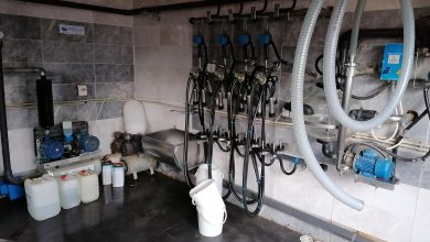Photo of Преку затворени системи за молзење до придобивки и за фармите и за млекарите