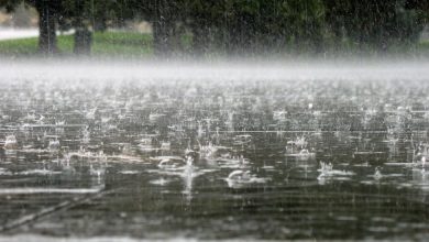 Photo of Продолжува дождливото време