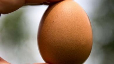 Photo of Дали јајцата треба да се чуваат во ладилник или не – што е поштетно