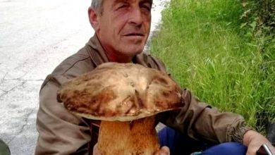 Photo of Фото вест: Ицо Тасевски го “улови“ можеби најголемиот вргањ во Битола
