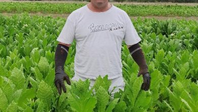 Photo of Оливер Лозаноски-Земјоделието е сигурна егзистенција во економска криза