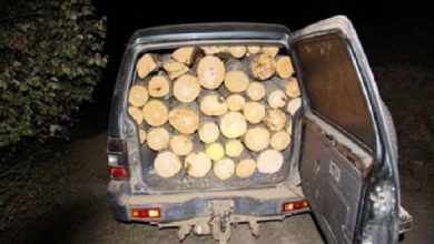 Photo of Дрвокрадците не мируваат – стотици кубни крадено дрво запленети во струшко