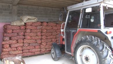 Photo of Увозот на компири ги уништува домашните производители-цената на домашниот компир е од 15 до 20 денари за килограм но никој не го бара