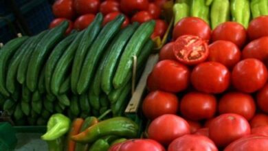 Photo of Пазарите преполни со краставици од Албанија и домати од Турција со сомнителен квалитет