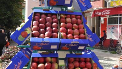 Photo of СДСМ: Извозот на јаболка донесе 25 милиони евра