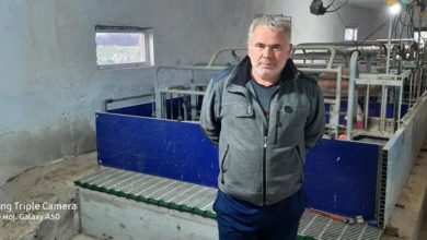 Photo of Гоце Серафимов – Свињарските фарми бројат загуби до 30%