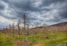 Photo of МЕТЕОАЛАРМ: Денес времето ќе биде променливо облачно со повремени локални врнежи од дожд