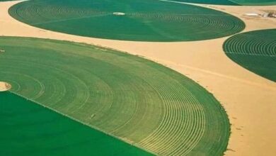 Photo of Земјоделство во среде пустина