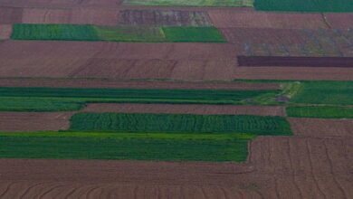 Photo of Најмногу 1 евро ќе чини квадрат земјоделско земјиште: Сите детали за продажбата на државното земјиште, јавноста е на нозе