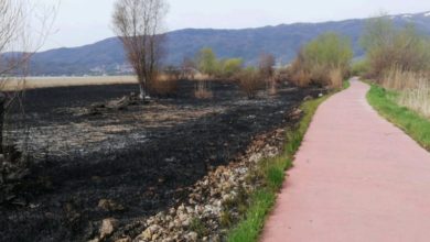 Photo of Во Струшко опожарени трски и вегетација во должина од околу 450 метри