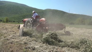 Photo of Трипуновски најави грантови за младите земјоделци