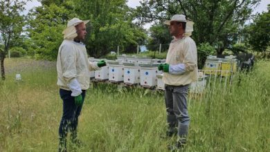 Photo of Младиот Багојче Ристовски од Прилеп си ја реализира желбата за одгледување пчели