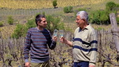 Photo of Сашко Андов-Семејните винарии имаат иднина, предност е сопственото производство на грозје