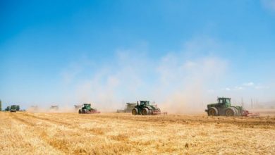 Photo of Федерацијата на фармери бара минималната цена на пченицата да биде 13 денари по килограм