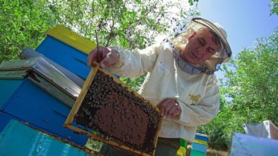 Photo of Марјанчо Арсов-Нашиот труд и посветеност кон пчеларството се потврдени и наградени со повеќе медали