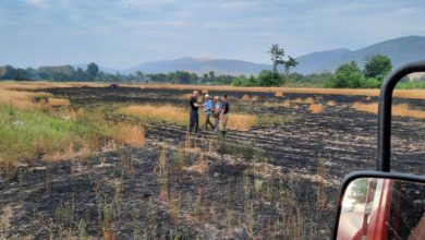 Photo of Изгорени десетици хектари со пченица во Тетовскиот Регион