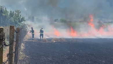 Photo of Над 300 хектари земјоделски култури изгореа во пожарите во штипско