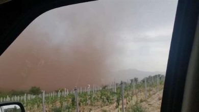Photo of Видео-Невреме во Кавадаречко, ветар измешан со прашина
